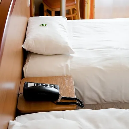 Logis Du Commerce Hotel Volvic