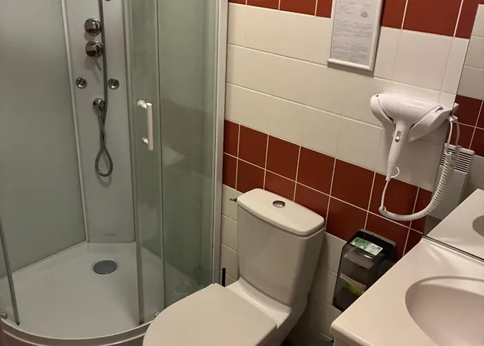 Logis Du Commerce Hotel Volvic